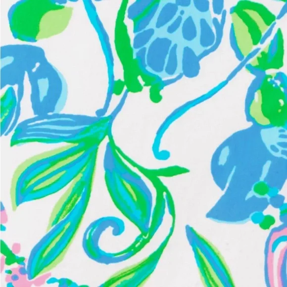 Lilly Pulitzer NWT Toddler Lilly Shift Dress Print; Just a Pinch Size: 18-24 - Picture 3 of 7